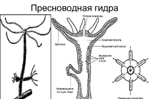 Кракен купить порошок маркетплейс