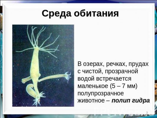 Кракен сайт бошки
